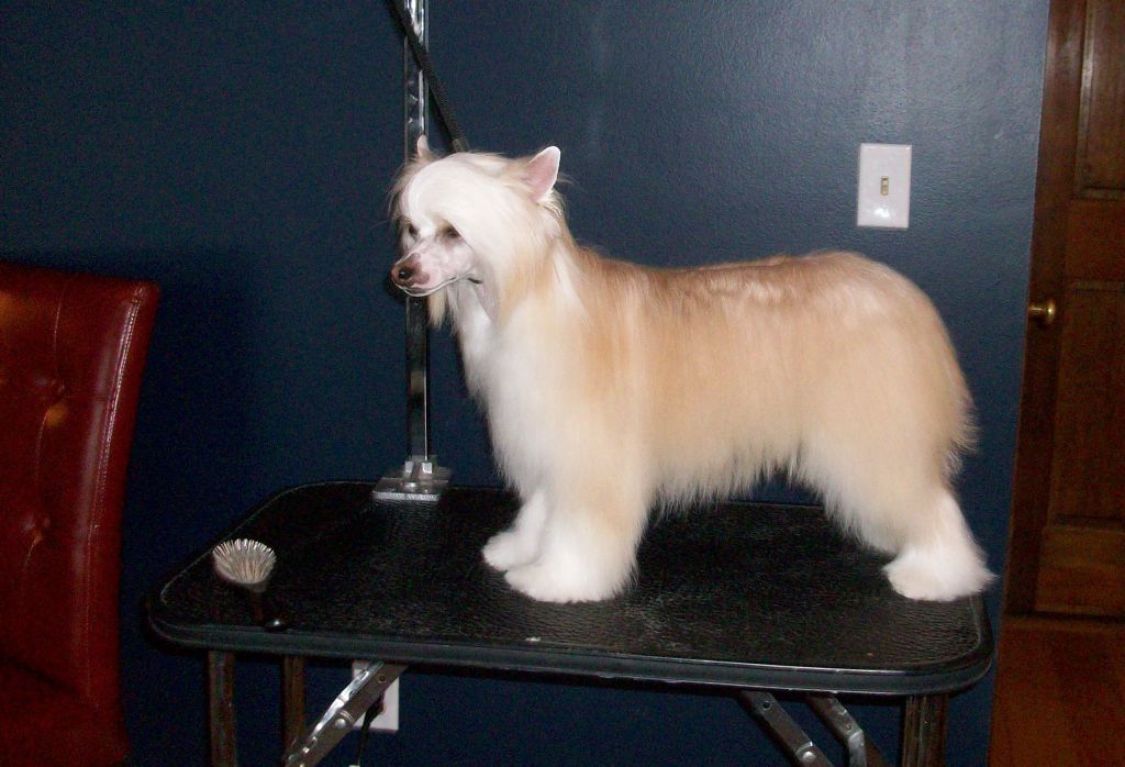 Presenting U Can't Touch This