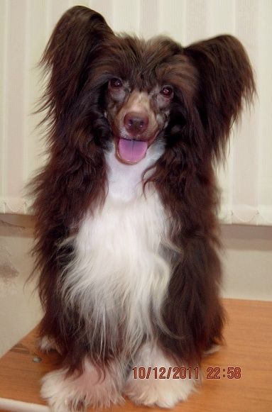 Unreal Chocolate ot Lyali Beloy