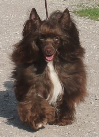 Udacha dlya Milisenty ot Lyali Beloy