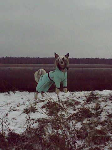 Kranar Edgar Activ Element