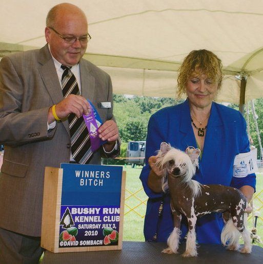 Six Gems A Countess for Hong Kong