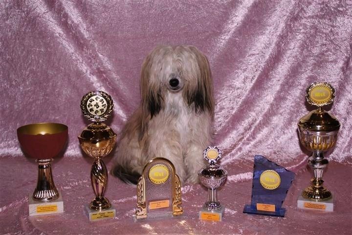 Amy Caramella's Family