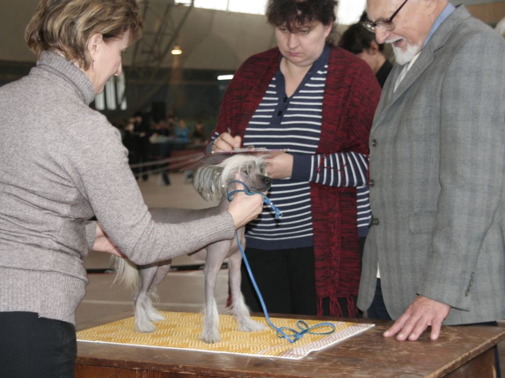 Arianda Evening Star