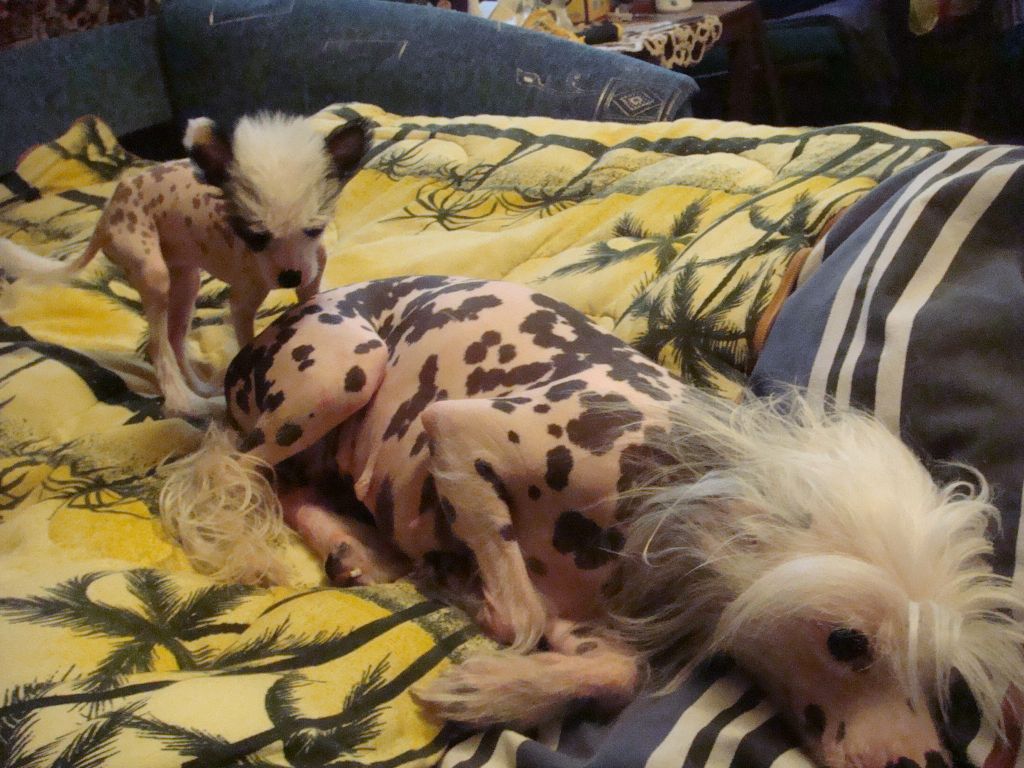 Grona Ruah-in-Vifaniya