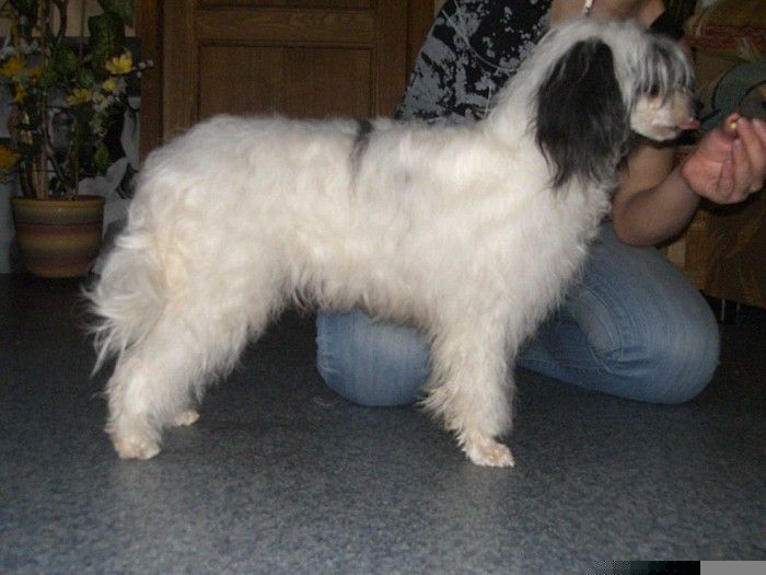 Meri Sain Karamel'ka