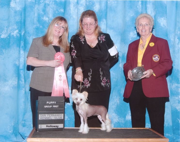 Afterglows All Tangled Up With Shida