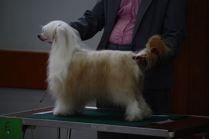 Chang Lein At Oolagha