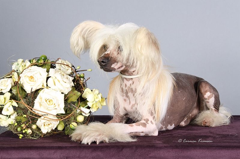 Habiba Look Who's Back Its Oolagha