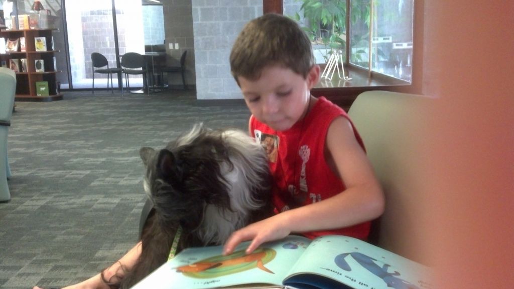 Cavallino Confidental Gift