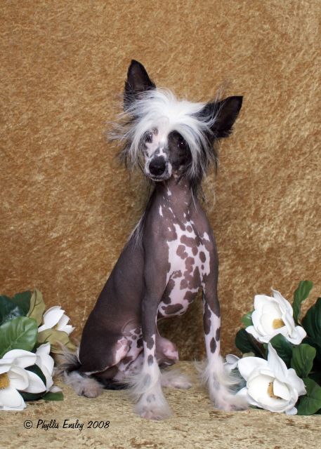 Redland's High Performance