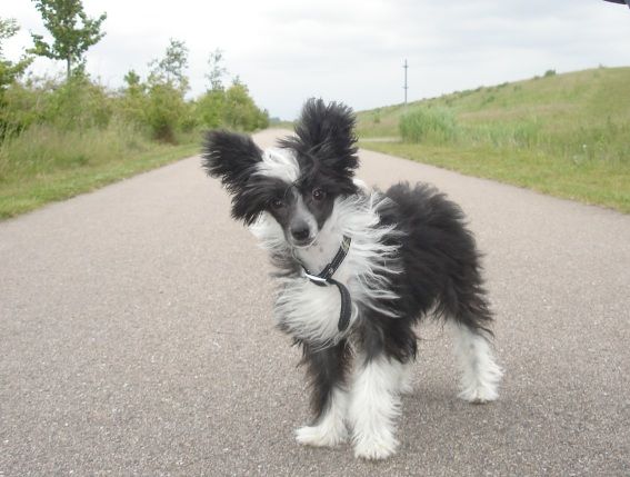 Game On of Angel's Legacy