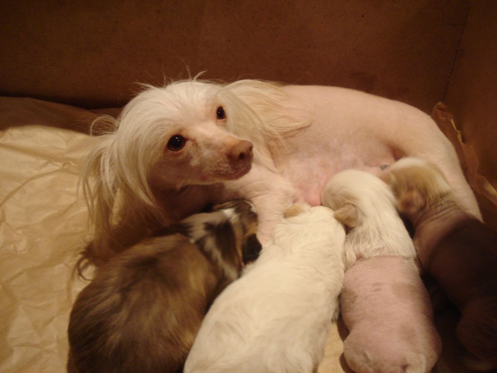 Midnight Muzik Infanta