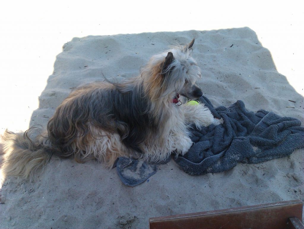 Solino's Vuitton Reminiscences