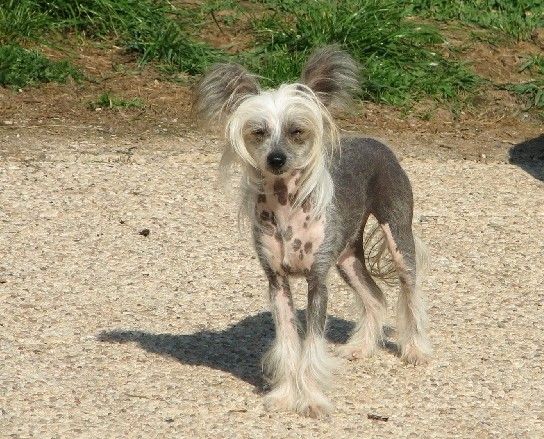 Beautifull Girl Du Doux Mystere