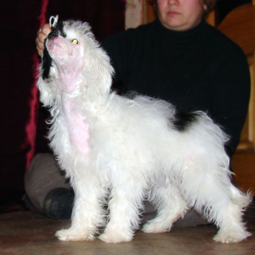 Izabell from makonda