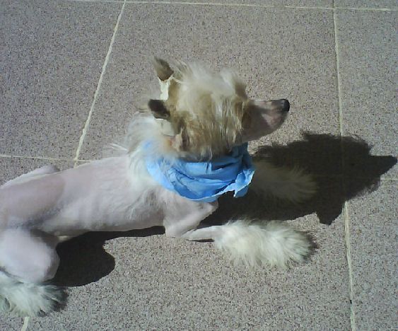Vázquez Carmen
