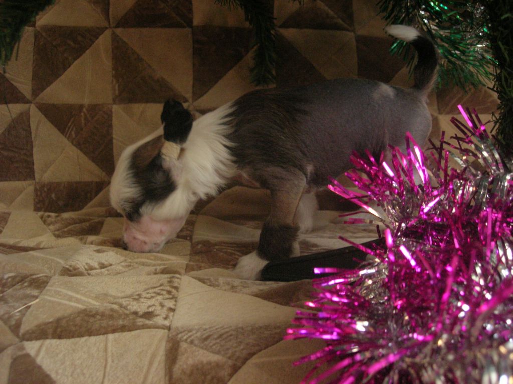 Rovanni Djekattolo Ugo Rossi