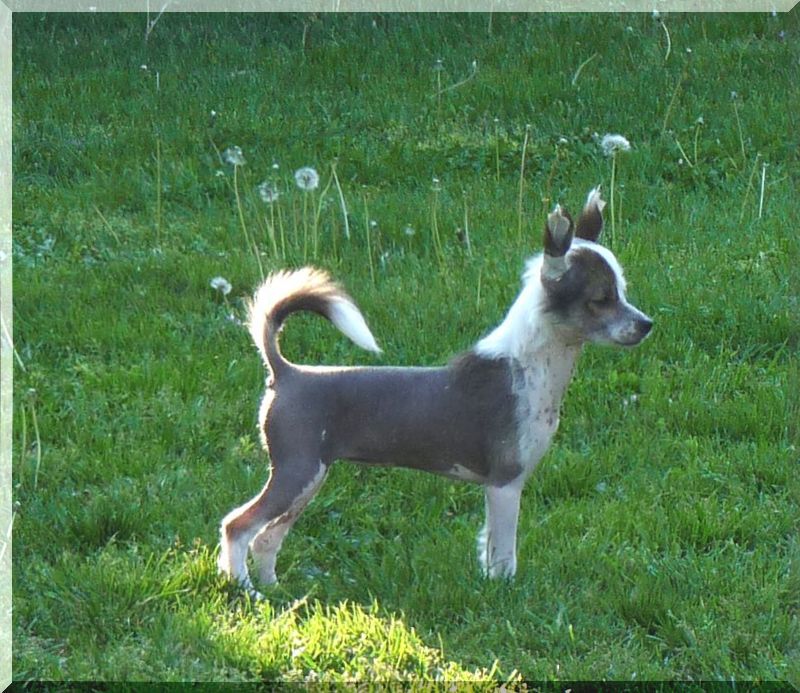 Fundoklia-völgyi Kaszanics Itaka