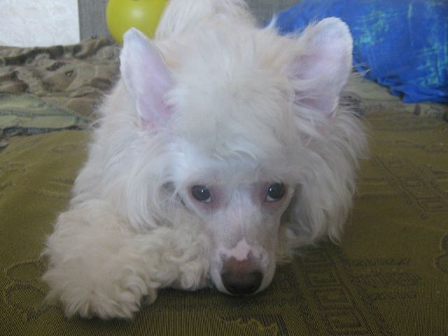 Magic of Success Simply Gorgeous