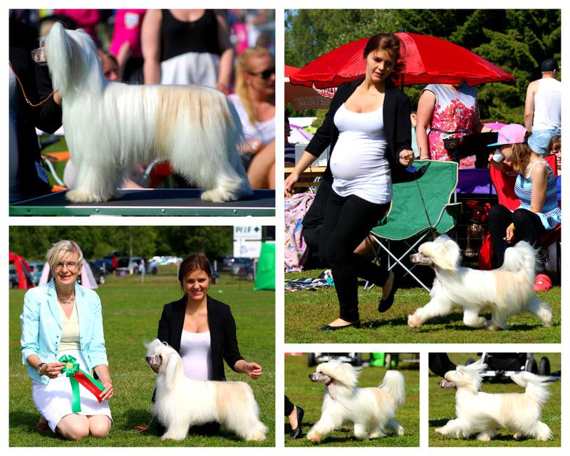 Chineseblue's Note This