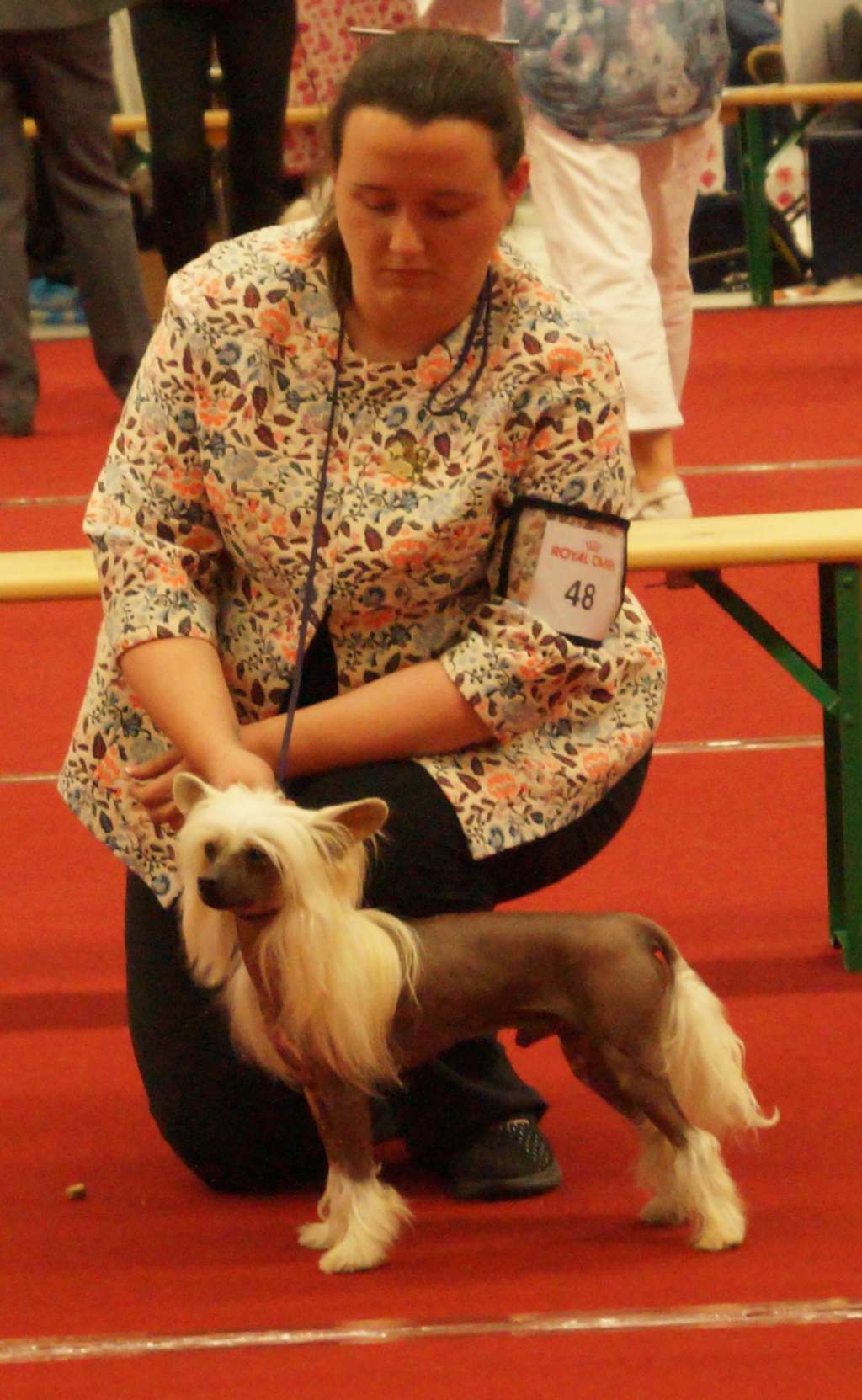 Kameo's Montana at Creekside