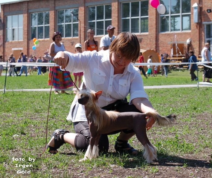 Irgen Gold Andy Roddick