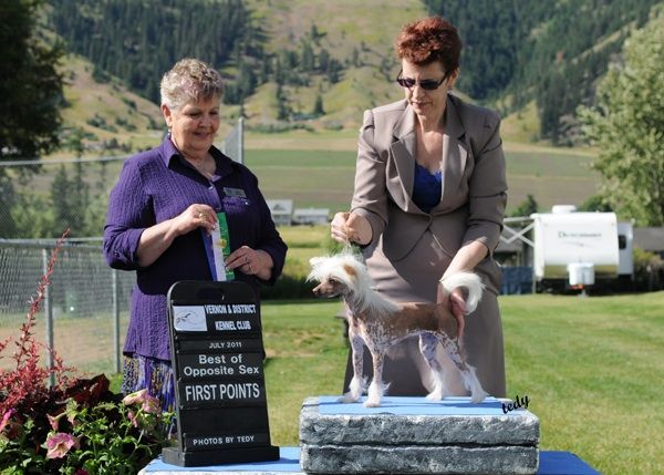 Tournais Laughing Out Loud