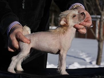 Tournais Talk To The Hand