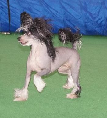 Marachinos Oh so good