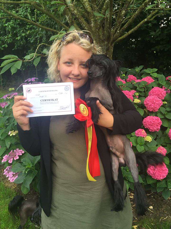 CH Spotborne Lucky Luke