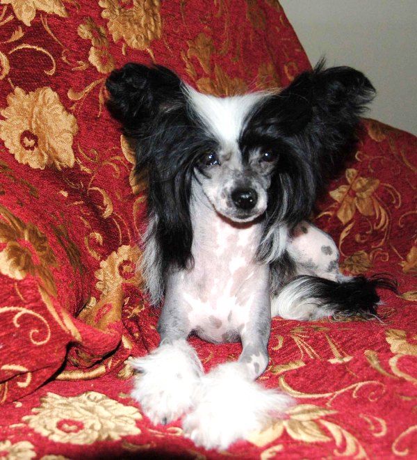 Kokoro Lookin for a Good Time