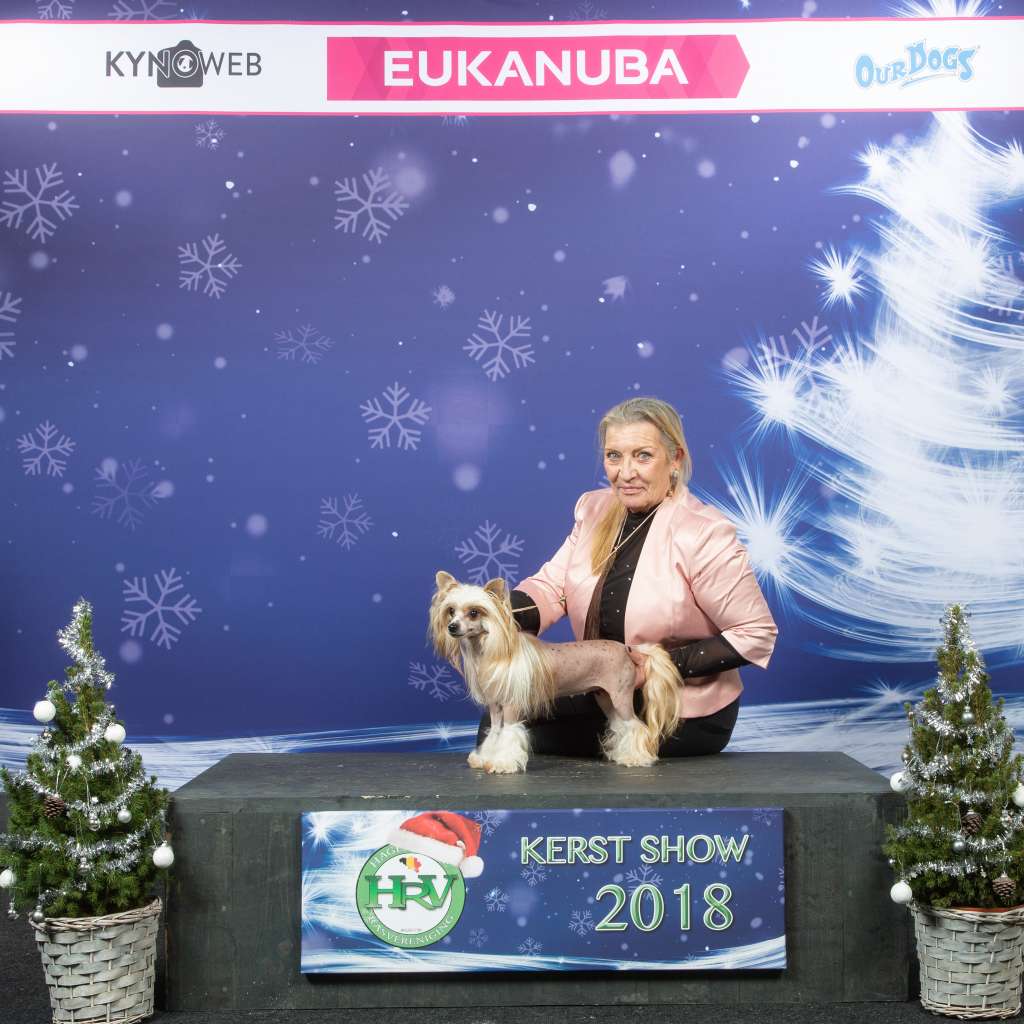 Multi CH.Moon harbour final fantasy.