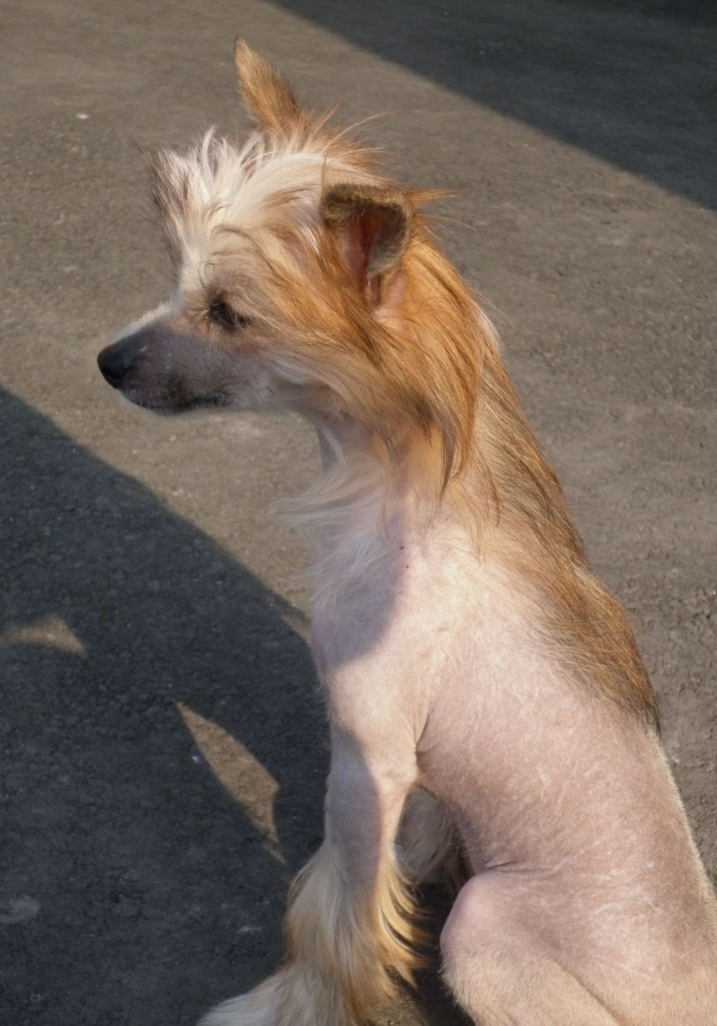 Zheneva-Debjut Rada Rassvet Yuzhnogo Berega