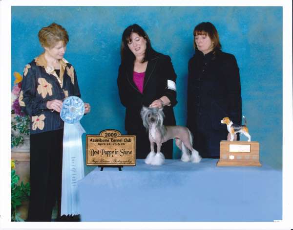 Wind's A Little Bit O'Potter