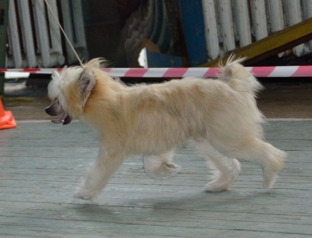 Ellete iz Strany Kutha 