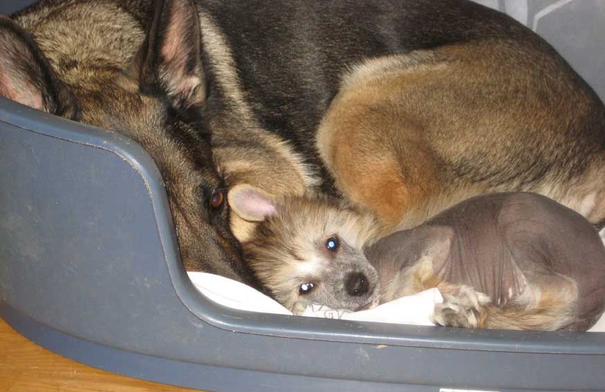 Easy Rider De GabriTho