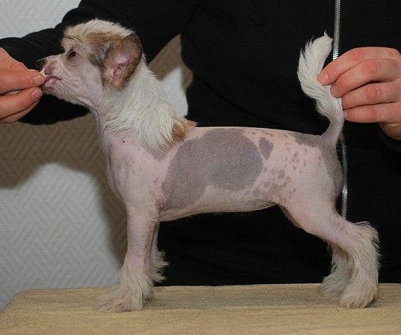 Noway's Woman on the Verge