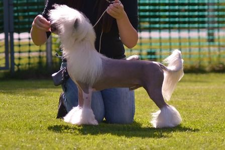 Noway's Goodbye Columbia