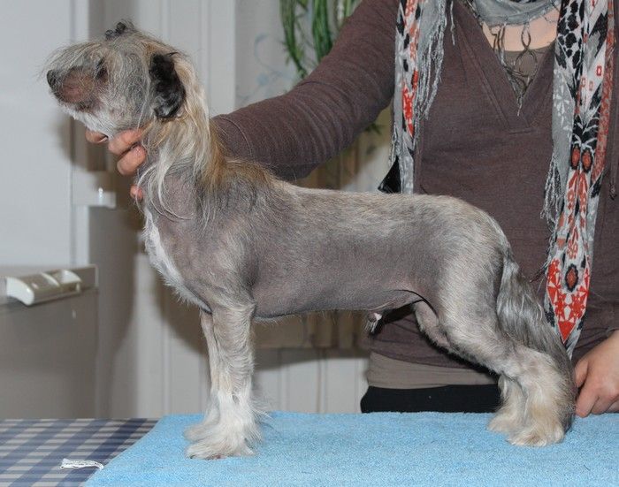 Noway's The Lost Boy