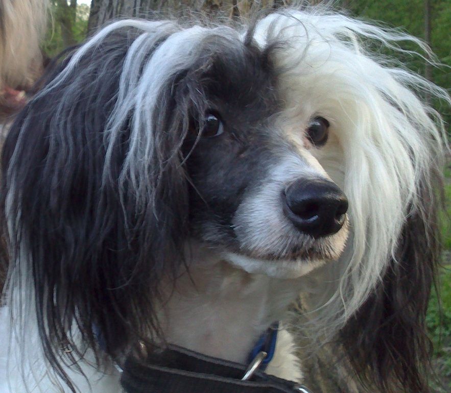 Energizing von Shinbashi