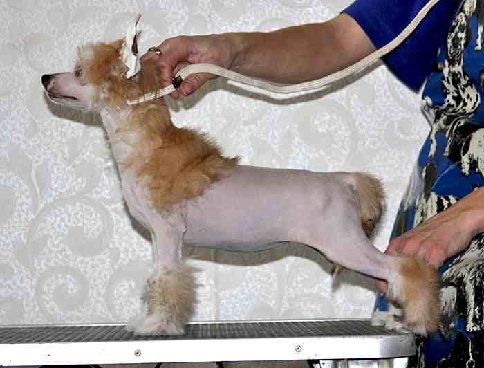 Olegro Katrin Algebra