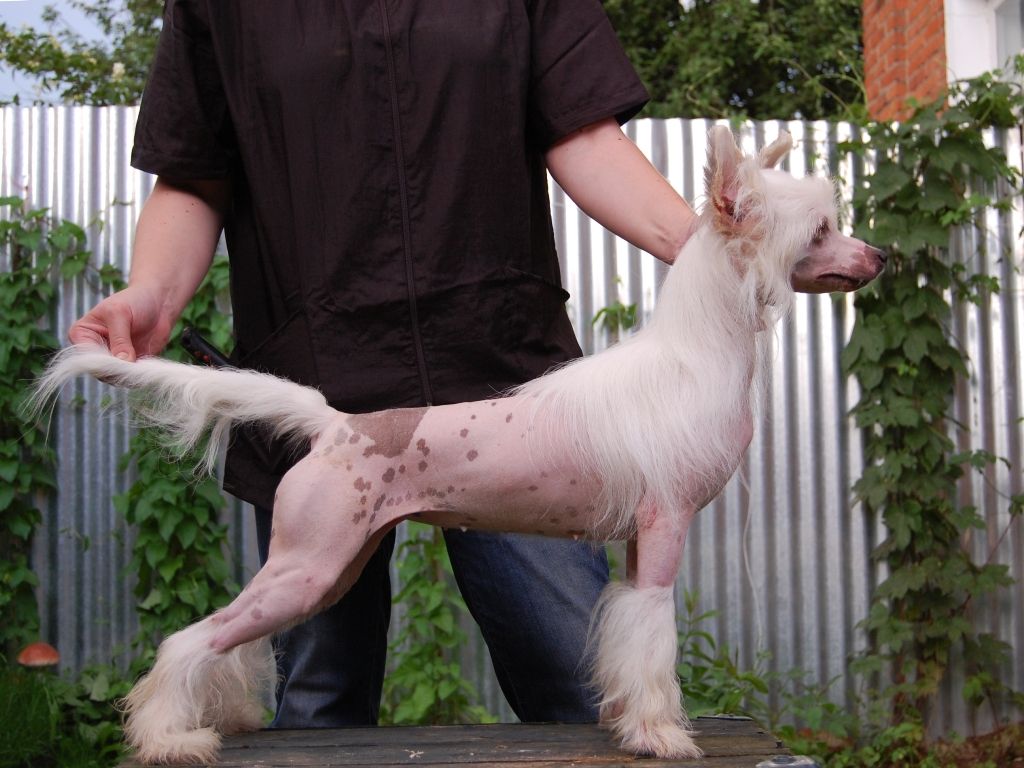 Olegro Katrin Vizhantia