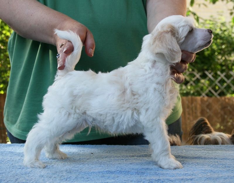 Zhannel's Puff Daddy