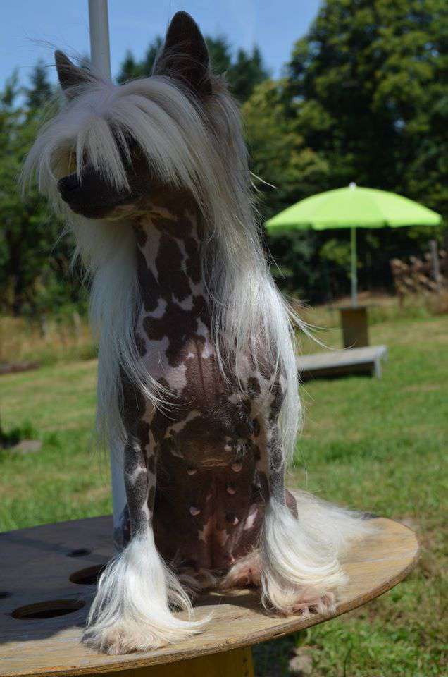 Grace Spirit Du Coeur Des Tenebres