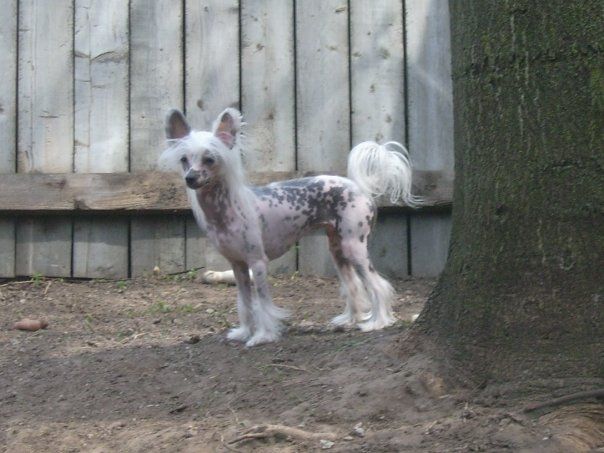 ItsMajic I Want The World