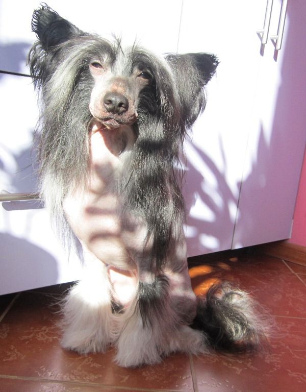 Lus'en Eloks La-Manzh