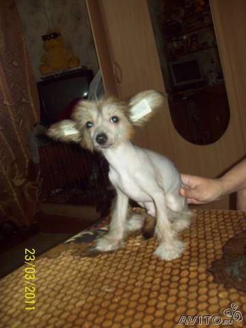 male3
