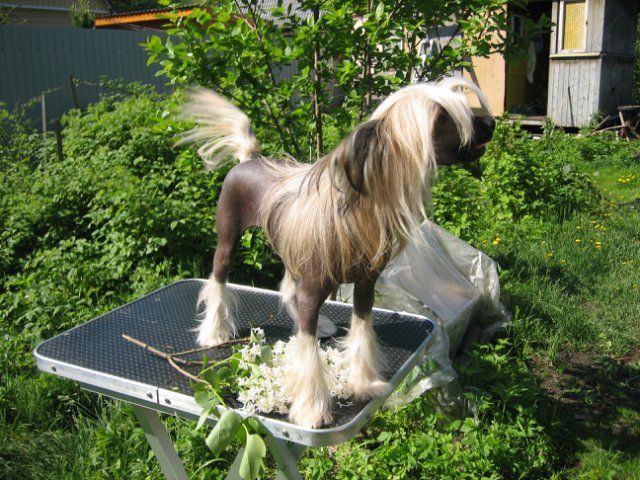 Aura Beauty New Found Love 