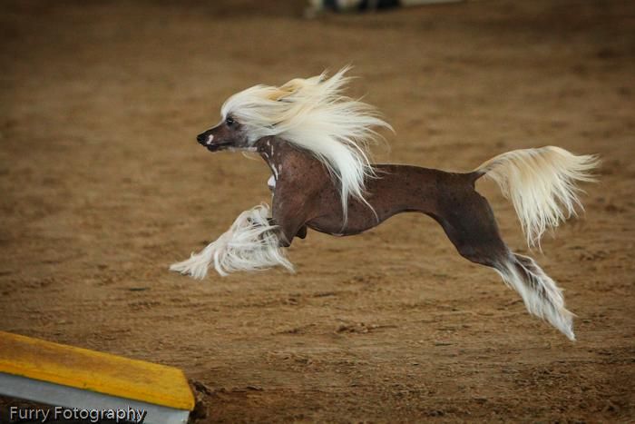 Silver Bluff Finding Neverland