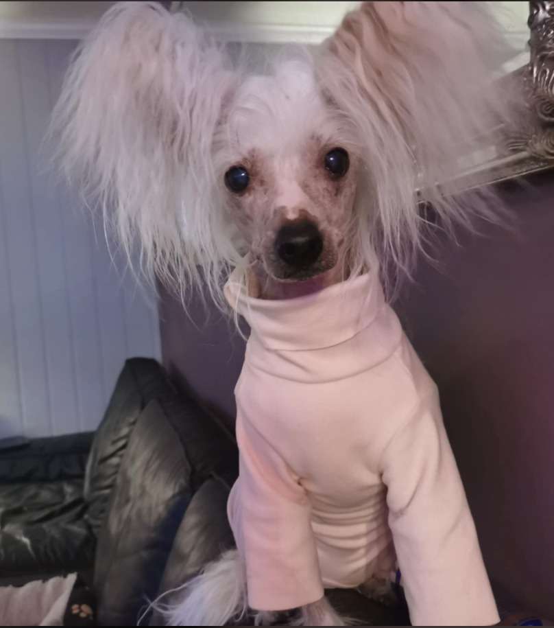 Reject's Fourteen Holy St Barbara